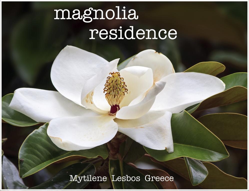 Magnolia Residence Mytilene Exterior photo
